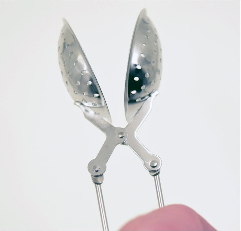 Leaf shaped stainless steel tea maker